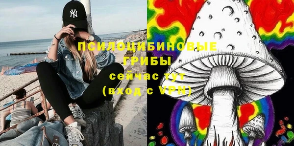 apvp Армянск