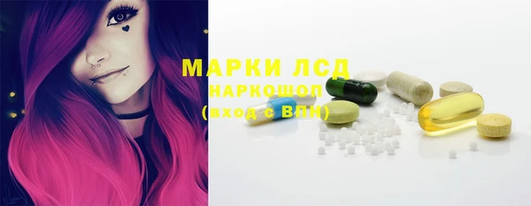 стаф Арсеньев