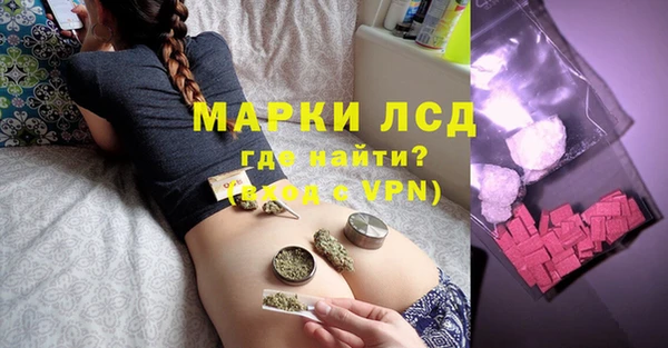 стаф Арсеньев