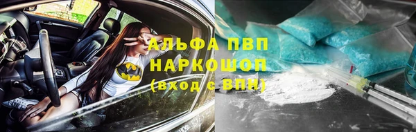 стаф Арсеньев