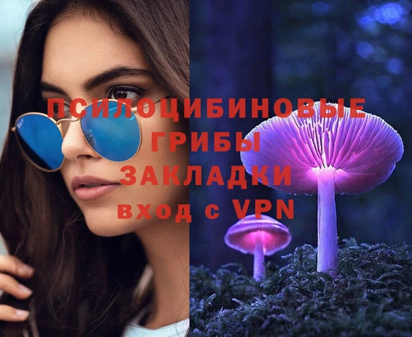 стаф Арсеньев