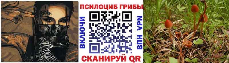 Псилоцибиновые грибы Magic Shrooms Нижняя Салда